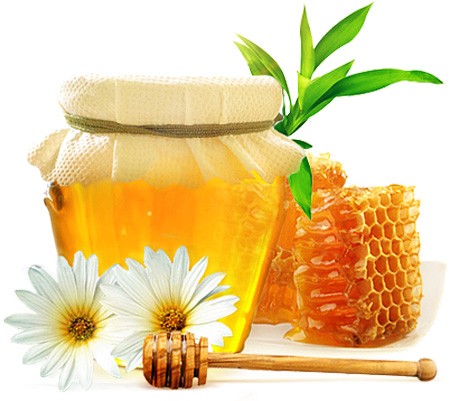 فواید عسل طبیعی 